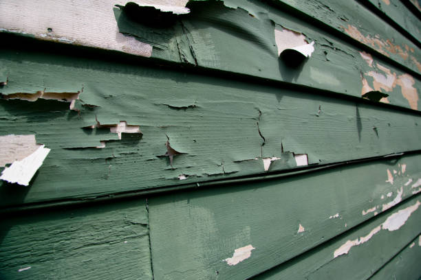 Best Property Management Cleanouts  in Churubusco, IN