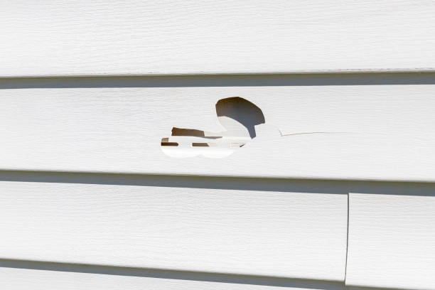 Professional Junk Removal in Churubusco, IN